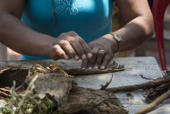 Women preparing tobacco cigar...