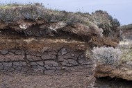 Peat hag showing exposed laye...
