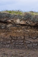 Peat hag showing exposed laye...