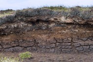 Peat hag showing exposed laye...