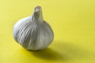 Garlic bulb on an acid yellow...