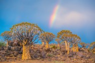 Keetmanshoop, Namibia - Quive...