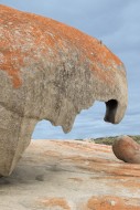 Remarkable Rocks, Flinders Ch...