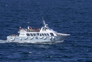 Excursion boat Armor Navigati...