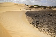 Dunes formed by blown in Saha...