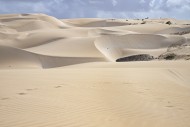 Dunes formed by blown in Saha...