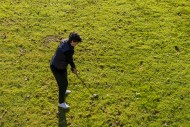 Aerial View on a Golfer Takin...