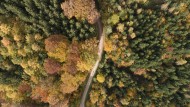 Aerial view of an autumn-colo...