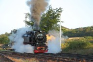 Steam locomotive at the train...
