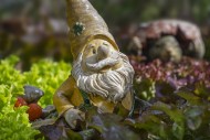 Garden gnome ornament figurin...
