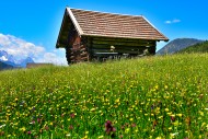 Hay barn on an alpine meadow ...