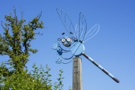Aquascope Virelles is an eco-...