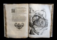 Antique open anatomy book Ana...