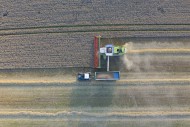 Aerial view over combine harv...