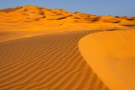 Sand ripples on wind-swept sa...