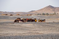 Bedouin tents in the Sahara D...