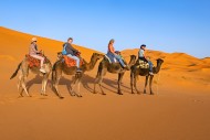 Western tourists riding drome...