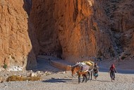 Moroccan women leading two he...