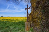 Wayside cross on a spring mea...