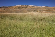 Fossil Butte National Monumen...