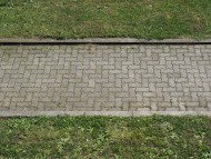 tiled pedestrian pathway surr...