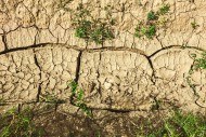 Closeup of dried crack mud re...