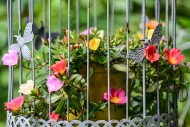 Purslane in a flower basket, ...