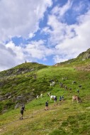 Participants of a trail run i...