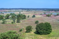 Aerial view over the Kalmthou...