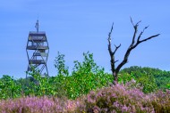 Fire lookout tower / wildfire...