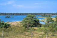 View from lookout tower De St...