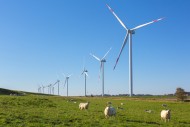 Wind turbines at wind park / ...