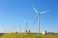 Wind turbines at wind park / ...