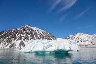 Iceberg melting in summer in ...