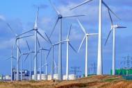 Wind turbines at wind park / ...