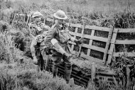 Evacuation of wounded Austral...