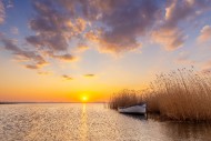 Rowing boat / rowboat along r...