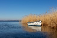 Rowing boat / rowboat along r...
