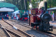 Narrow-gauge steam locomotive...