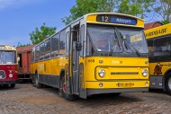 Yellow Dutch 1979 Leyland-Den...