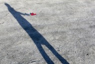 Shadow of a Person Holding a ...