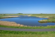 Path and pond in brackish pol...