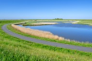 Path and pond in brackish pol...
