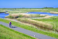 Cyclist and pond in brackish ...