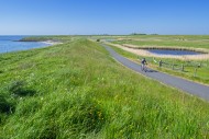 Cyclist and pond in brackish ...