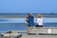 Couple of birdwatchers with b...
