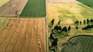 Aerial view of grain fields w...