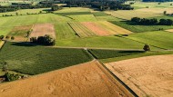 Aerial view of grain fields w...