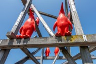 Rode Pinguins / Red Penguins,...