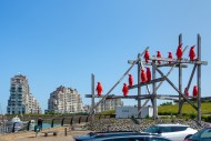 Rode Pinguins / Red Penguins,...